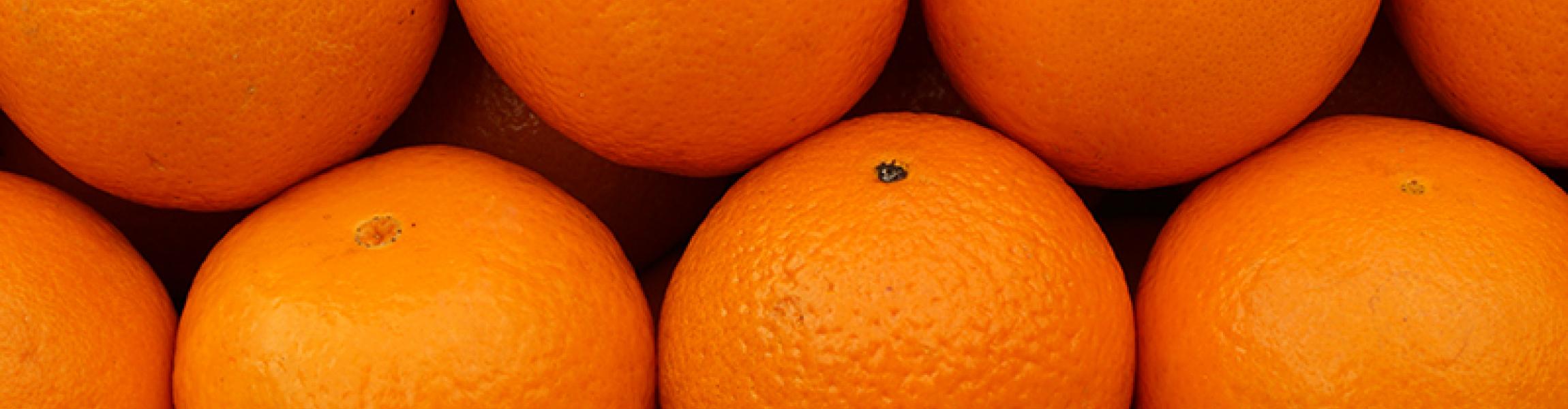 Citrus