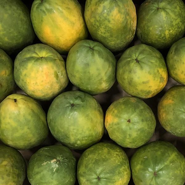imported produce